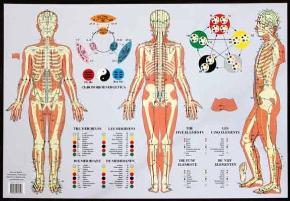 Traditional Chinese Medicine The 12 main meridians and the 5 Makko Ho