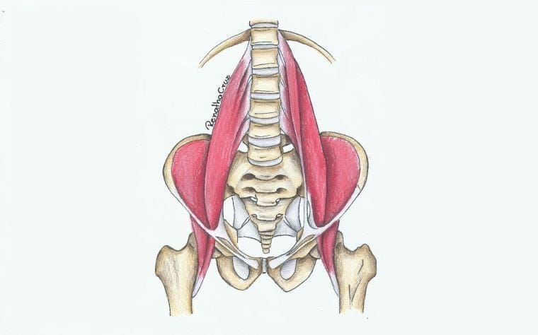 The Iliopsoas: a door towards health