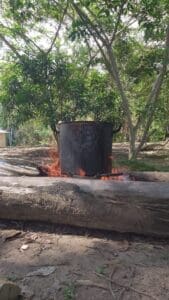 The purposes of ancestral medicines